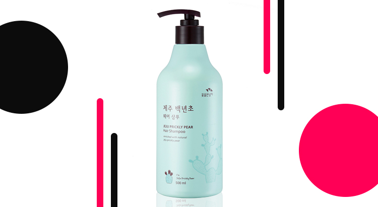 Flor de Man Jeju Prickly Pear Hair Shampoo, V Prove