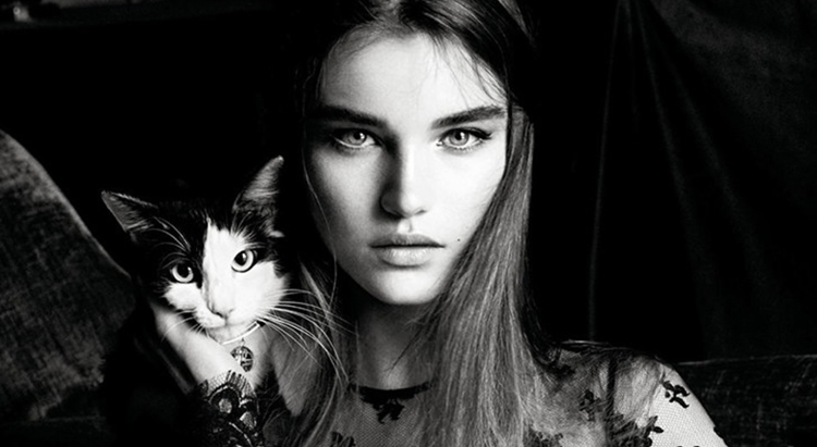 Лицами рекламной кампании Givenchy стали кошки