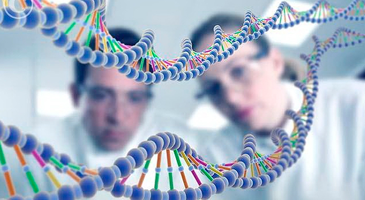 Ученые создадут персональный крем, исходя из вашего генома