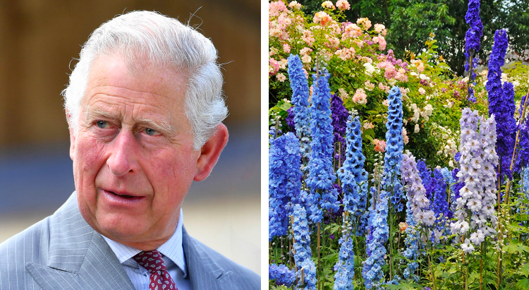 Королевская семья рассказала о своих любимых растениях