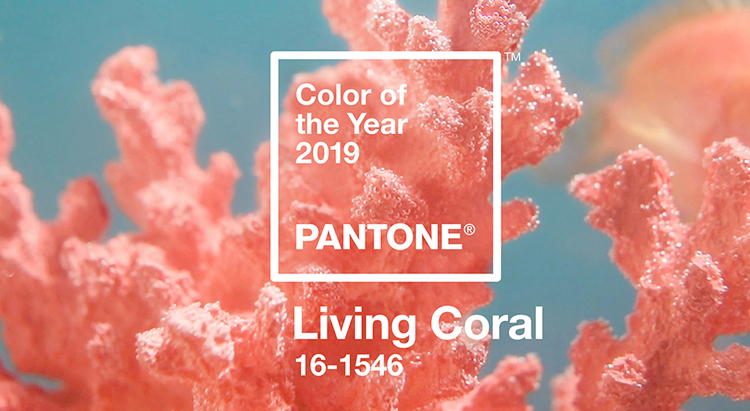 Pantone назвал главный цвет 2019-го года