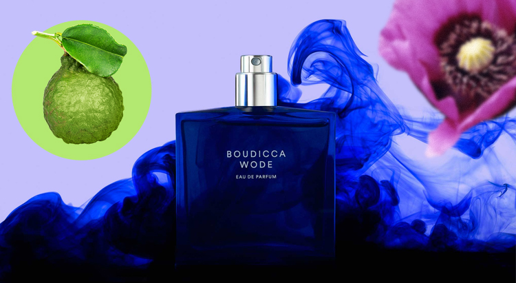 Boudicca Wode, The Beautiful Mind Series