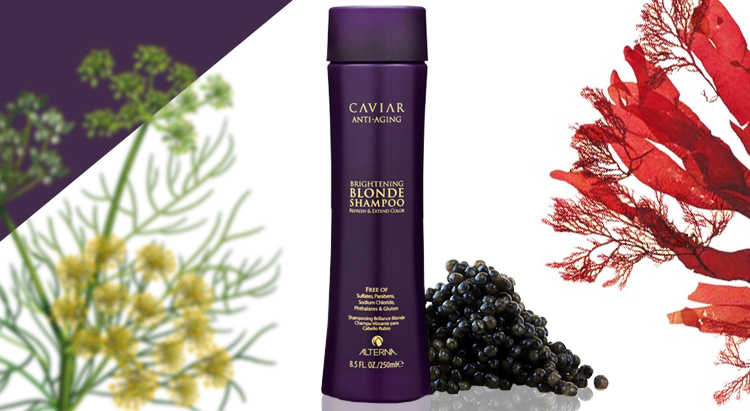 Шампунь для светлых волос Caviar Blonde Seasilk Shampoo, Alterna
