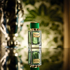 Dolce&Gabbana представил свой новый свежий аромат Velvet Cypress
