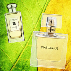 Древесные ароматы ноября: Diabolique woman Eisenberg и English Oak & Hazelnut Jo Malone