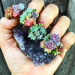 Растения на ногтях: ботанический nail-art от Roz Borg