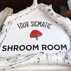 Shroom Room: адаптогенные грибы для красоты и здоровья