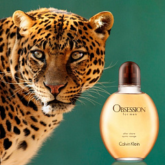 Мужской парфюм Calvin Klein покорил ягуаров