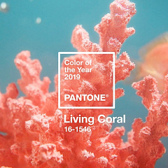 Институт цвета Pantone назвал главный цвет 2019 года