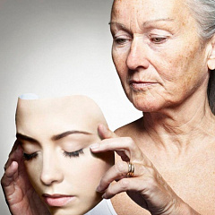 Секрет внутри: как наш организм замедляет старение